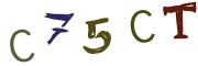Bild-CAPTCHA