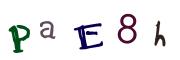 Bild-CAPTCHA