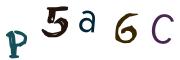Bild-CAPTCHA